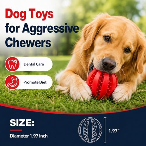 GASHIK Dog Treat Ball for Dogs, Rubber Dental Chew Toy for Dogs
