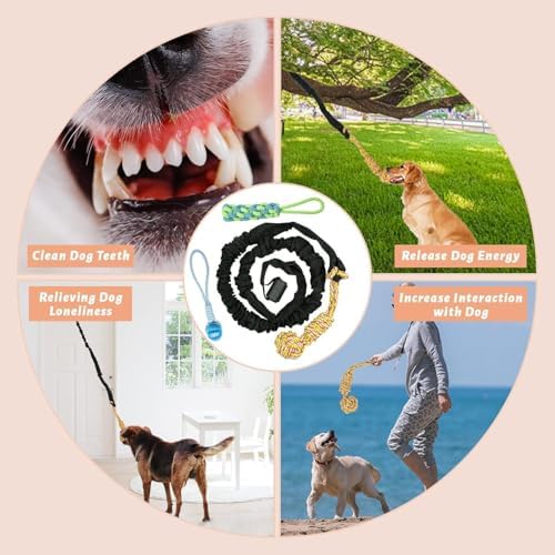 Spring Pole Dog Rope Toys,Dog Bungee Toy, Hanging from Tree, Tether Tug for Small to Large Dogs with 3 Pieces Chew Rope