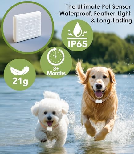 Automatic Dog Door with Collar Sensor, Meduim Smart Pet Door for Wall, Custom Scheduling & Anti-Pinch, Fits Meduim Dogs up to 40 lbs (M)