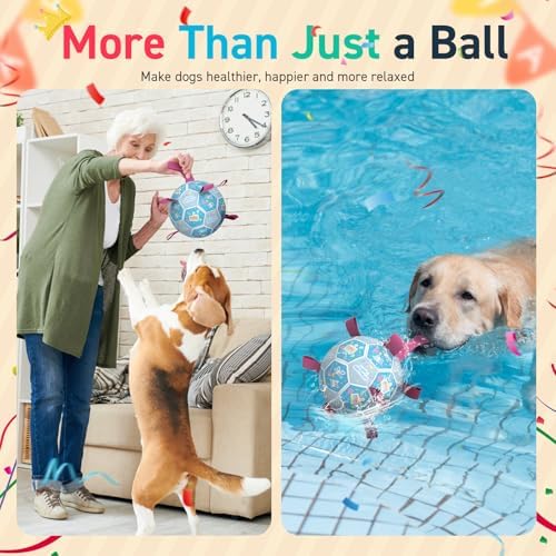 QDAN Dog Birthday Toys, Puppy Birthday Gifts, Dog Soccer Ball with Straps