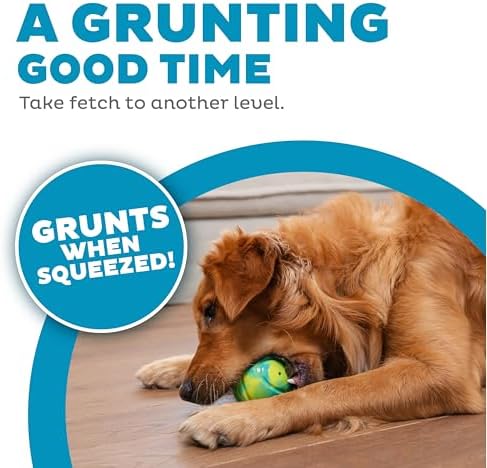 Outward Hound Grunt N' Punt Tennis Ball - Fetch Ball Dog Toy, Multi (Pack of 4)