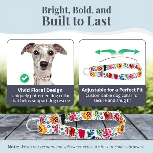 Lucky Love Dog Martingale Collar for Medium Dogs No Slip – Ladybird, Medium