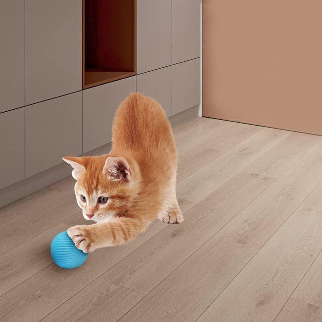 Pet's Cat Toy Ball,Wloom Cat Toy,Magic Rolling and Sound Ball for Indoor Playing Stimulate Hunting Instinct for Your Kitty. (Green)