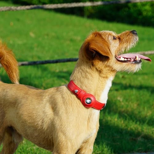 Blueberry Pet Microfiber Leather AirTag Dog Collar