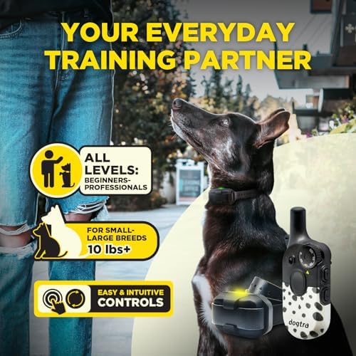 Dogtra 200iQ Remote Training E Collar – 100 Levels, Tone, Vibration, 1/2 Mile Range – Compact, Waterproof, One-Handed Control for Dogs 10 lbs+ – Lightweight Design for Daily Training – Modern Dots