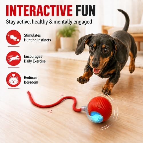Interactive Automatic Rolling Electronic Stimulation Chase Ball Cat Dog Toy | Smart Electric Moving Stimulating Rechargeable Motion Activated Self Play Teaser for Boredom Small Dog Puppy Pet, with Rope
