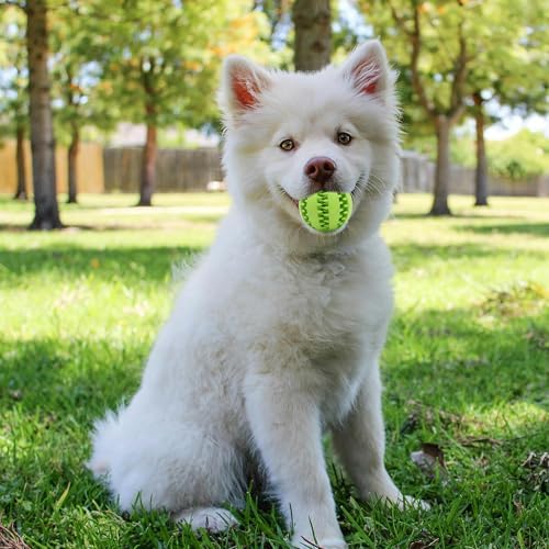 Interactive Dog Treat Ball Toys for Aggressive Chewers Teething Toys to Keeping Them Busy Dogs Balls Food Treats Feeder Chew Ball for Small Medium Large Dogs (Calibre 2.2 in for Medium Dog)