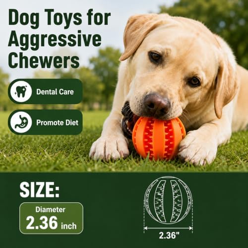 GASHIK Dog Treat Ball for Dogs, Rubber Dental Chew Toy for Dogs