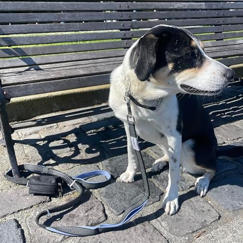 Dog Poop Bag Holder for Leashes and Treat Holder with 2 Waterproof Pouches | Poop Bag Dispenser for Pet Waste Bags and Walking Accessories + 1 Free Roll