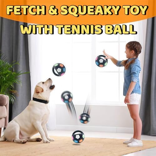 Tough Durable Ball Toy for Medium Large Dog