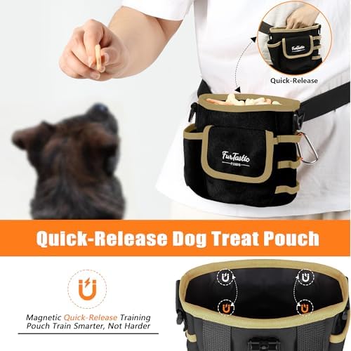 Dog Treat Pouch with Magnetic Closure for Pet Training