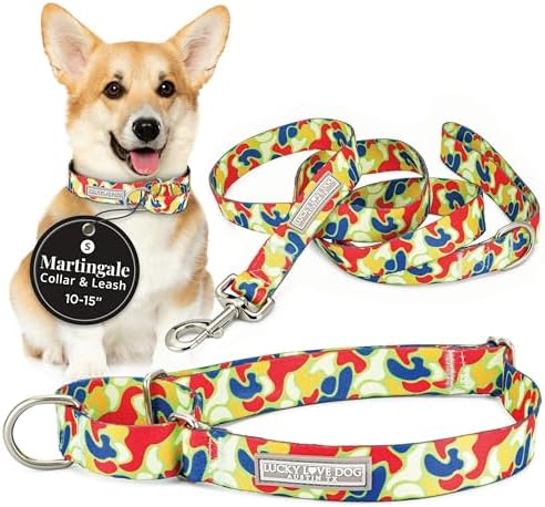 Lucky Love Dog Martingale Collar & Leash Set No Slip Cute – Oscar, Small
