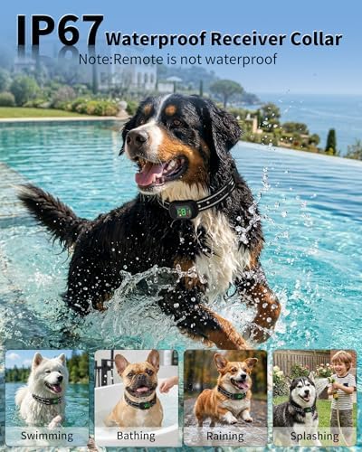 Shock Collar for Dogs, 4900FT Dog Training Collar with Remote, IP67 Waterproof Rechargeable E Collar for Dogs, 4 Training Modes, Voice Call, for Small Medium Large Dog(10-120Lbs)