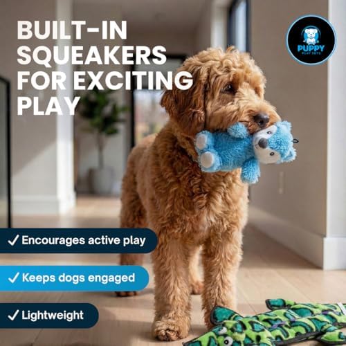 5-Piece Dog Toy Set – Tough Alligator Tug Toy, Plush Hedgehog with Internal Spiky Ball & Tennis Balls – Interactive Toys for Teething, Fetch & Training – Gifts for All Dog Sizes