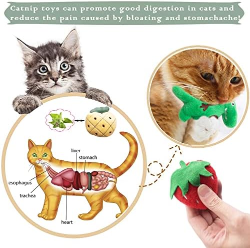 Mini Cat Catnip Toys for Indoor Cats 10 Pack