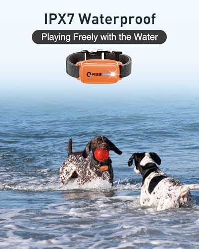 ABBIDOT Shock Collar for Dogs 3300Ft 4 Training Modes Dog Training Collar, IPX7 Waterproof, Nihgt Light, Safety Lock, Rechargeable E-Collar for Small Medium Large Dogs (15-120 lbs)，Orange