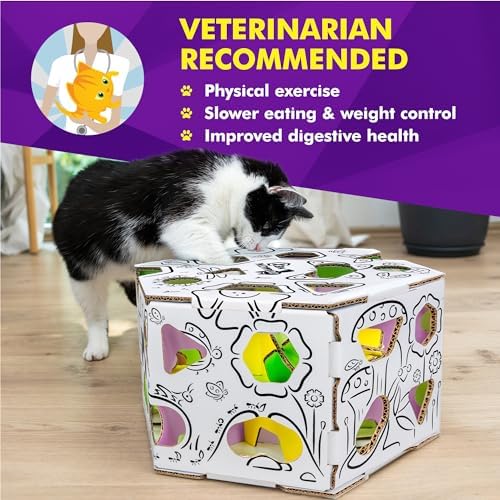 Cat Amazing HEX – Interactive Cat Treat Puzzle Box & Puzzle Feeder – Treat Maze Box for Indoor Cats – Enrichment Food Dispenser Toy!