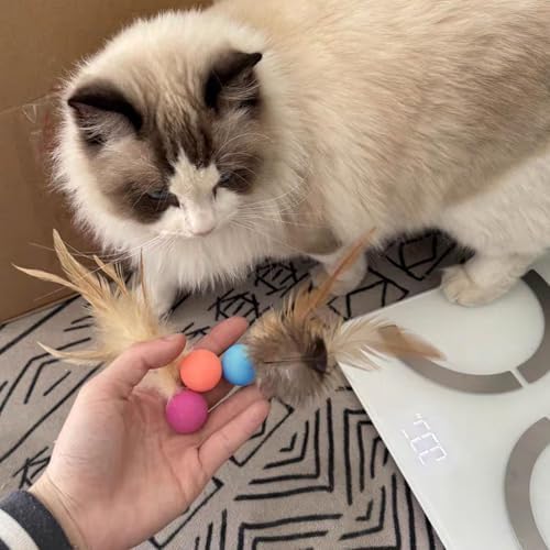 Cat Toy Ball with Feathered Tail for Indoor Cats, 3-Pack