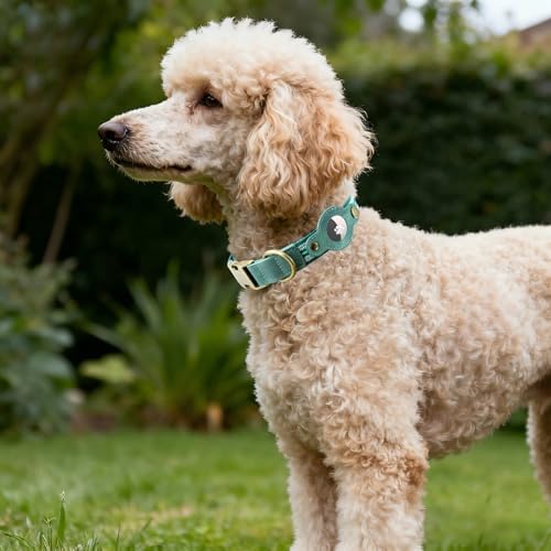 Airtag Dog Collar, Reflective Collar w Airtag Holder for Small Dogs(Green)