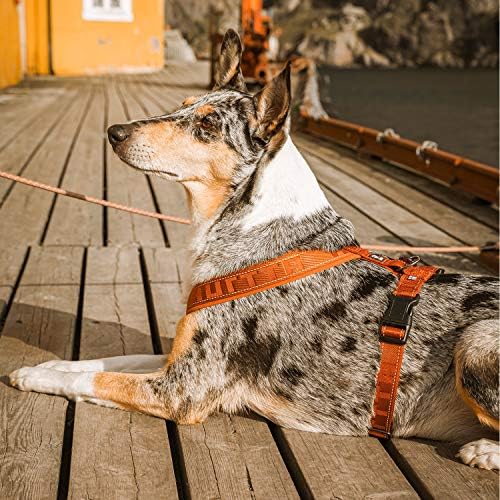 Hurtta Casual Padded Dog Y-Harness, Cinnamon, 35 in