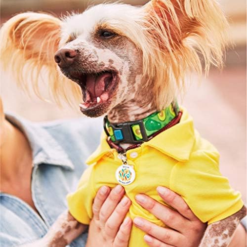 QR Code Dog Tag Personalized Pet Id Silent Cat Tags Engraved Name Plate with Online Profile («Paw Design»)