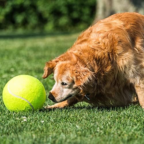 2 Pack Big Tennis Ball for Dogs - 9.5" and 8" Inflatable Giant Tennis Balls Large Pet Toys Ball Funny Outdoor Sports