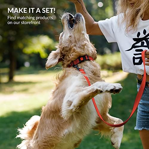 Reflective Dog Collar, Quick-Release Buckle (Orange, 14-18 Inch)