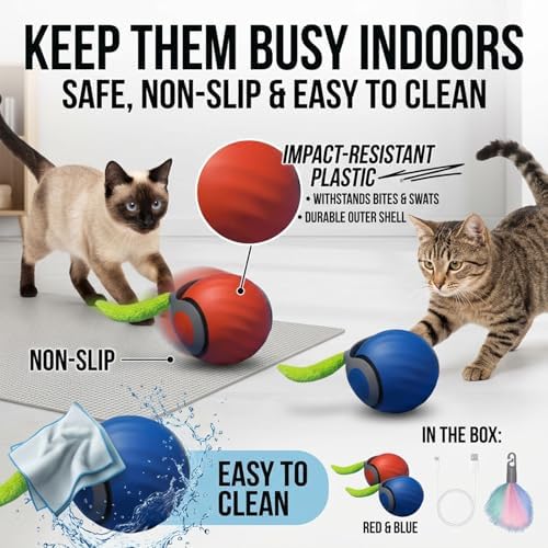 Teazys Cat Toy Turbo Tail 3.0,Interactive Cat Toy Ball, Automatic Cat Toy with Tail, Electric Rolling Ball on Carpet, Cat Enrichment Toys for Small/Medium/Large Cats to Keep Them Busy (Orange)