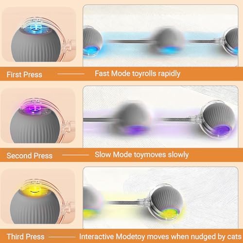 360° Interactive Dog Cat Toys Balls(Grey, one Size)