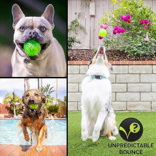 Hyper Pet DuraSqueak Dog Ball Toys (Interactive Toy that Float & Squeak) Squeaky Toys & Dog Balls for Playing, Fetching & Retrieving-Great Alternative to Traditional Tennis Balls-3.5"