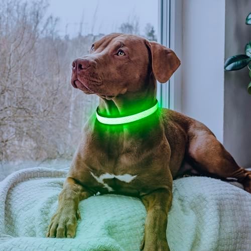 Flashseen LED Dog Collar, Light Up Dog Collar USB Rechargeable, Green, M