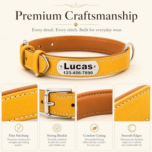 Personalized Genuine Leather Dog Collar with Name Phone Number-Yellow-S