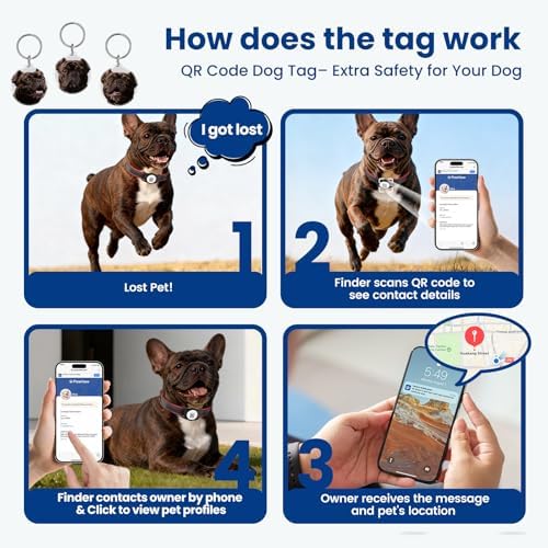 French Bulldog Leather Dog Collar with Holder for AirTag, Gift Set with 3 Brindle Frenchie QR Code Dog Tags (Dual Safety) & 2 Sticker Sheets,Personalized Frenchie Accessories, M