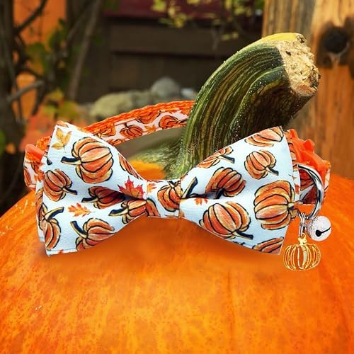 Fall Thanksgiving Harvest Cat Collar with Removable Bow Tie and Bell, Holiday Safety Breakaway Collar with Turkey and Pumpkin Spice Pattern for Boys and Girls Kitties Kittens