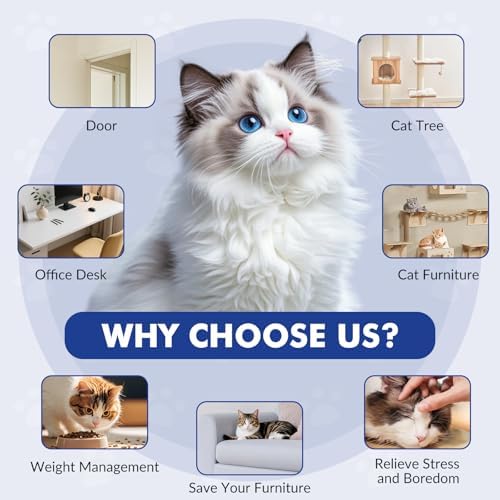 Wortade Automatic Hanging Cat Toy, Electric cat Teaser, Dark Blue