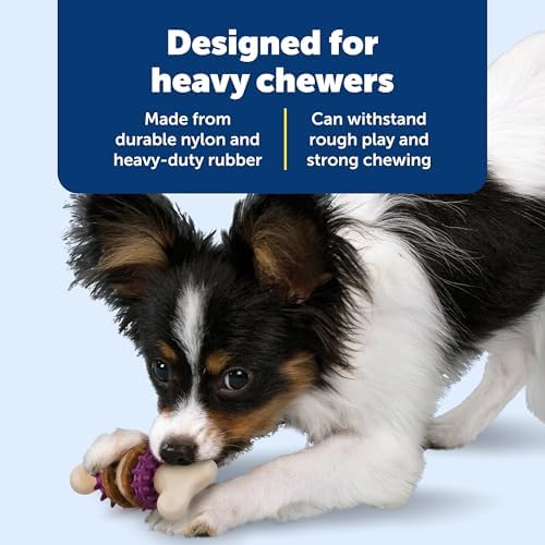 PetSafe Busy Buddy Bristle Bone Dog Treat Holding Chew Toy, Extra Small