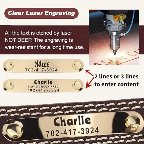 Personalized Genuine Leather Dog Collar with Name & Phone Number-Brown XS