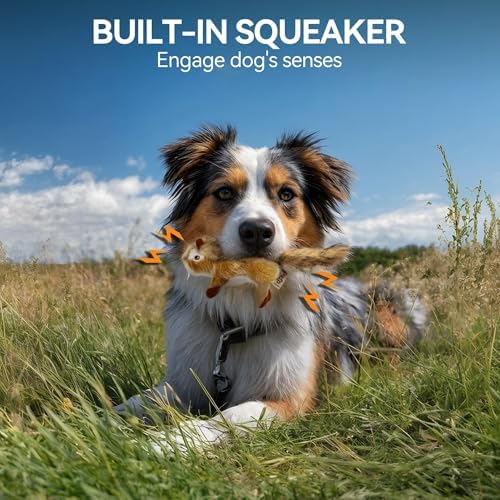 ALL FOR PAWS Chipmunk Squeaky Doy Toy, Squirrel Dog Toy for Small Medium Breed, Puppy Fetch Toy with Squeaker, Plush Chew Dog Toy, Classic-Chipmunk S