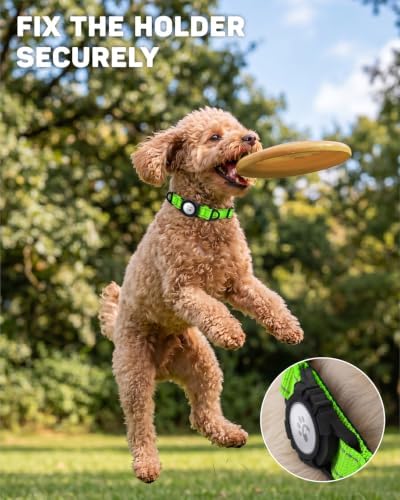 Padded Dog Collar with Waterproof Holder Compatible with Airtag