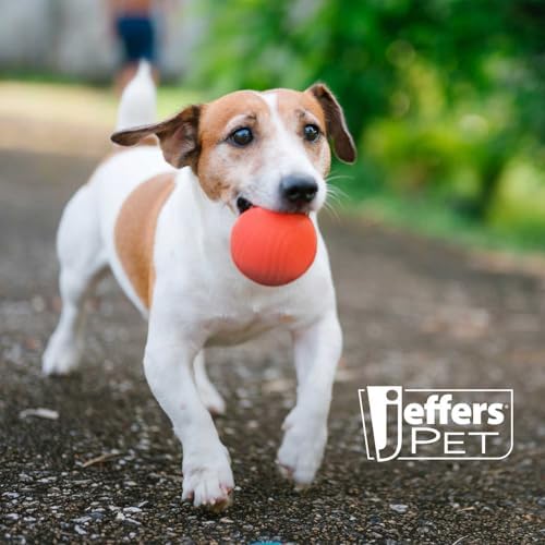 Jeffers Pet Natural Rubber Dog Chew Toy – Red Bouncing Ball with Waves, Medium – Vanilla Scent, Durable, Non-Toxic, Dishwasher Safe, Interactive Fetch & Tug Toy - Perfect for Training
