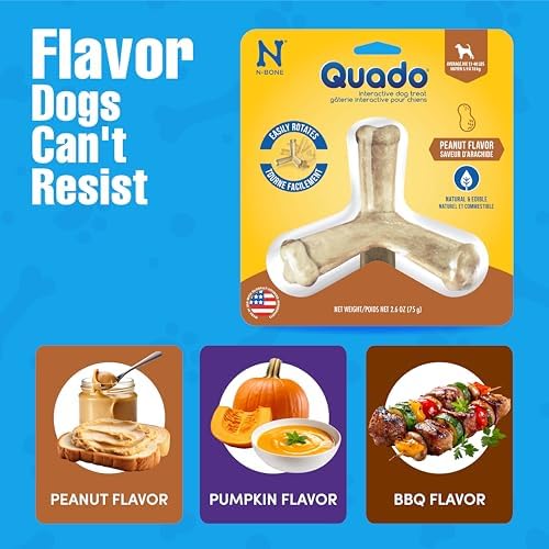 N-Bone Quado Edible Interactive Dog Chew, Peanut Butter Flavor, Easy Grip Design, Organic Dog Chew Good for Oral Health, Interactive Dog Treat, No Additives -Medium