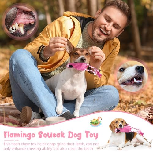 Sotiff 2 Pack Pink Flamingo Dog Plush Cute Squeaky Puppy Teething Plush Animal Interactive Stuffed Rope Pet Fake Birds for Small Medium Large Dogs Birthday Gifts