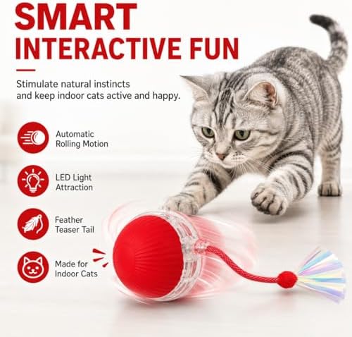 Interactive Cat Toy Ball with LED Lights, USB-C Rechargeable Automatic Cat Toy with Feather Tail, Smart Exercise Toy for Indoor Cats & Kittens, Upgraded Version