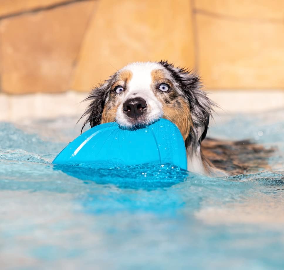 PROJECT HIVE ·PET COMPANY· Dog disc - Great for Fetch - Includes a Lick mat on Back - Floats in Water, Smooth Glide - Made in The USA (Soothing Vanilla)