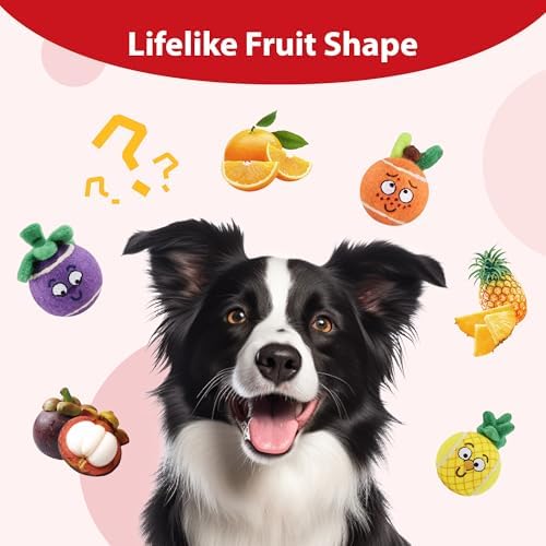 Gigwi Squeaky Tennis Balls for Dogs, 3 Pack Fruit Dog Ball for Medium Dogs