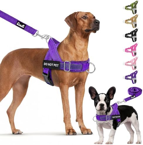 Lukovee No Pull Dog Harness and Leash Set, Soft Padded for Large Medium Dog