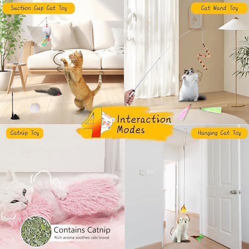 Suction Cup Cat Toy for Indoor Cats