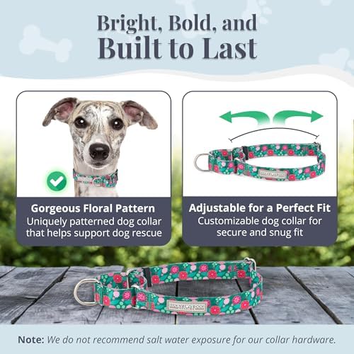 Lucky Love Dog Martingale Collar for Medium Dogs No Slip – Penny, Medium
