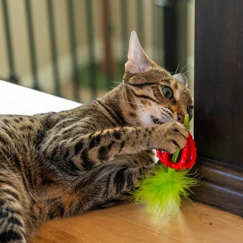 Catstages Dental Strawberry Teether Cat Chew Toy with Catnip, 4"