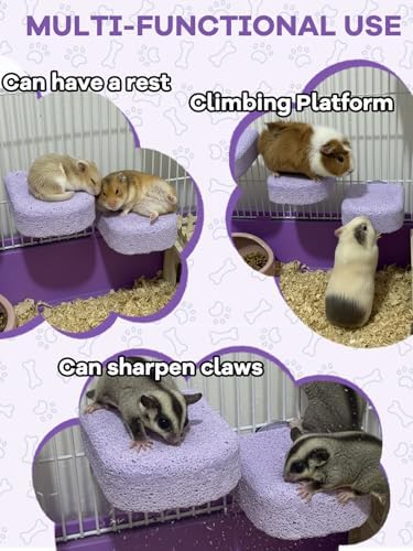 Lava Ledges for Rats 3 Pack Hamster Climbing Ledge Platform Pumice Ledge Shelf Pet Chewing Grinding Toys Small Animals Cage Accessories for Mouse Guinea Pig Gerbil Purple